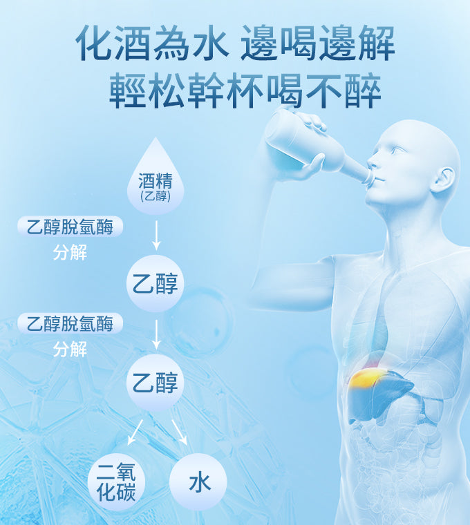 GTG SOBER Probiotics for Alcohol Metabolism Liver protection